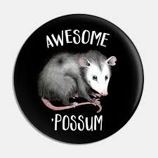 Awesome Possum By Rollingdonutpress