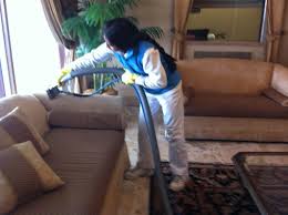 amiga carpet and upholstery clean home