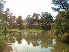 Swamp Fox Golf Club: Home