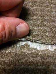 carpet repairs commercial