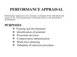 Performance Appraisal Process And Methods Anjuthomas Bims