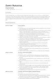 Finance Resume Samples And Templates Visualcv