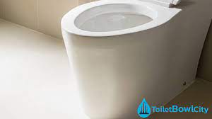 Reasons Behind A Leaking Toilet Bowl