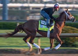 Look no further to find the top kentucky derby contenders! Kentucky Derby Horses 2021 Rank Horse And Points