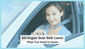michigan seat belt laws overview