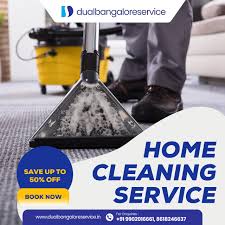 best cleaning services in dual