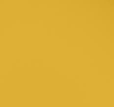 mustard yellow michelle odehin