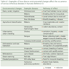 Who Climate Change And Human Health Risks And Responses