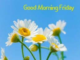 Our all good morning images are the true representing of hd quality. Happy Friday Good Morning Friday Hd Images Digitalomm