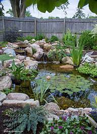 7 tips for planting your pond