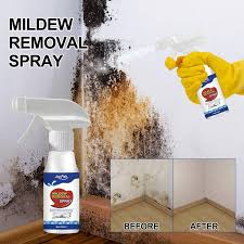 removing mold stains