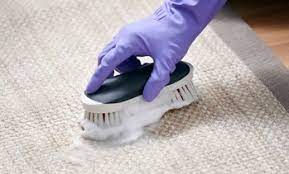 peoria carpet cleaning deals in and