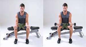 forearm workouts 14 best exercises