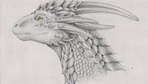 Realistic dragon drawings throughout history artists have been drawing the iconic image of dragons. Free 21 Realistic Dragon Drawings In Ai