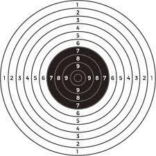 target standards for shooting activesg