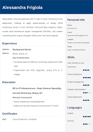 Download now the professional resume that fits your profile! Entry Level Resume Examples Template Tips