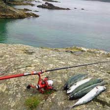Reels for saltwater kayak fishing. Inflatable Kayak Fishing Rod Free Reel Sea Fishing Rod Travel Rod Freepost For Sale From United Kingdom