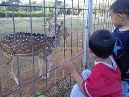 Petunjuk ke taman rusa kemang pratama (kota bekasi) dengan transportasi umum. Liburan Anak Taman Rusa Kemang Pratama
