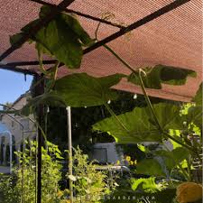 how to create shade in the garden
