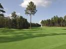 Pinewild Magnolia Course Vacation Packages & Trips