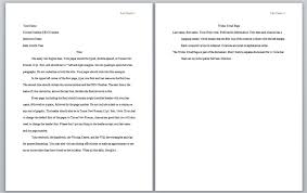 rubbish pollution essay custom dissertation proposal editing    