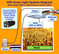 mh hps grow light tutorial plus