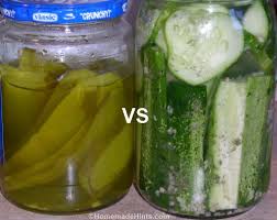 homemade refrigerator pickle recipe