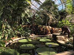 Picture Of Lauritzen Gardens