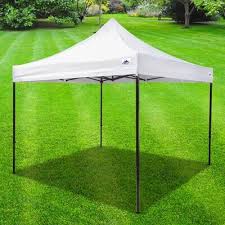 Kittrich Canopy 10 Ft W X 10 Ft D
