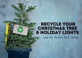 recycle your christmas trees and lights