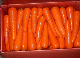 farm fresh carrot from china c 033