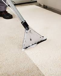 carpets professionally cleaned