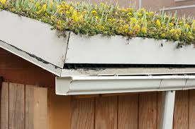 Green Roof Make Your Home A Natural