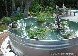 12 Attractive Diy Garden Ponds For Your
