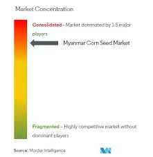 Myanmar Corn Seed Sector Analysis Growth Trends And