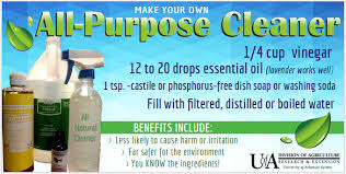 clean and green homemade cleaners how