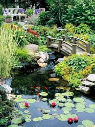 Water Garden Ideas To Create A Backyard
