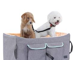 Petsfit Dog Car Seat dog car seat