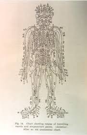 Meridians A System Of Our Energetic Anatomy