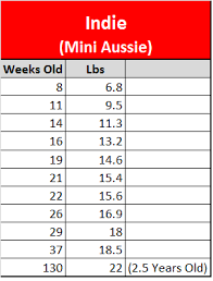 66 Unmistakable Mini Aussie Weight Chart