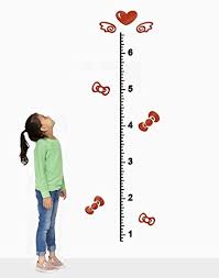 Decorsmart Plastic Growth Chart Ruler Wall Stickers Large