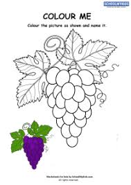 Enter now and choose from the following categories Colour Me Grapes Coloring Pages Worksheets For Preschool Kindergarten First Grade Art And Craft Worksheets Schoolmykids Com