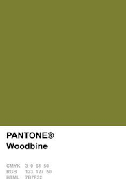 Image Result For Pantone Army Green Pantone Pantone