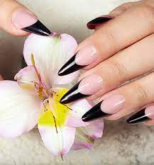 lavish nails spa in wake forest nc