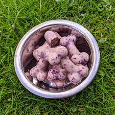 blueberry frozen dog treats easy and