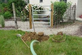 Septic System Gardening Info Planting