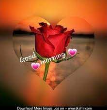 good morning with red rose jkahir com