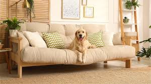 Best Pet Friendly Couches Dog Owners