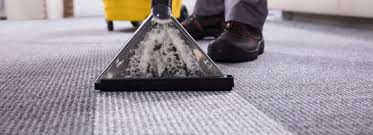 carpet and rug cleaning experts