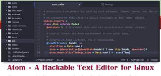 a hackable text and source code editor